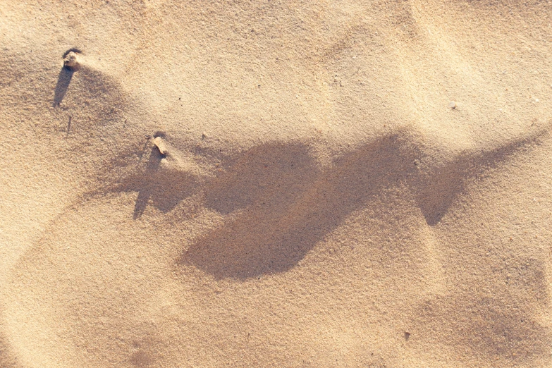 a bird that is standing in the sand, subtle pattern, sunfaded, sandstone, instagram post