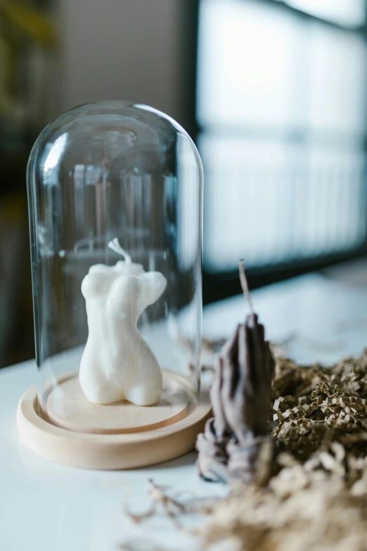 a figurine of a dog under a glass dome, by Tooth Wu, process art, waxy candles, romantic themed, 3 d print, a wooden