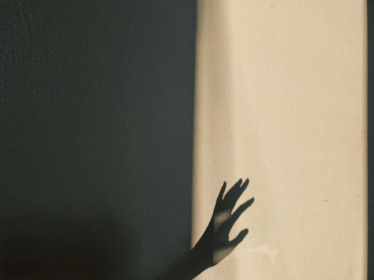 a shadow of a hand on a wall, inspired by Elsa Bleda, pexels contest winner, light and space, beige and dark atmosphere, instagram post, terrified, volumetric shadow