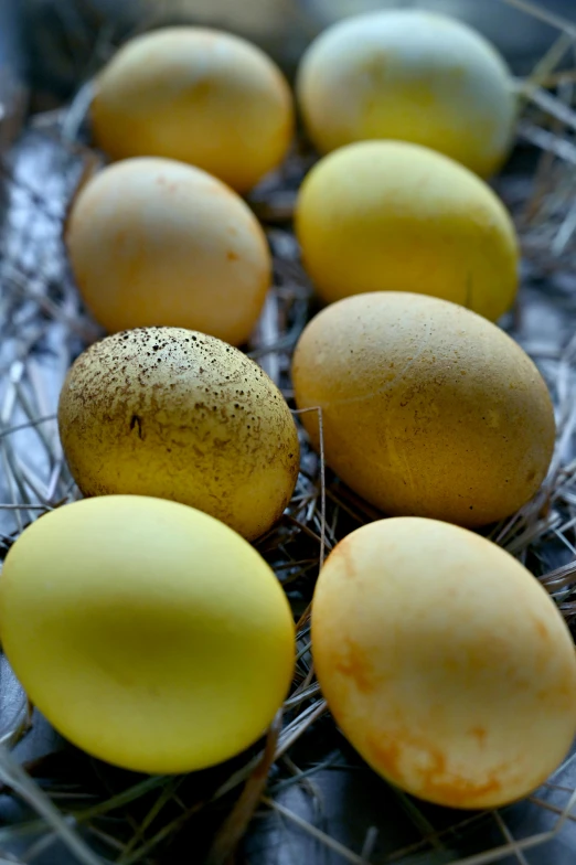 a bunch of eggs sitting on top of a wire rack, colors: yellow, smoothened, seasonal, cross-hatchings