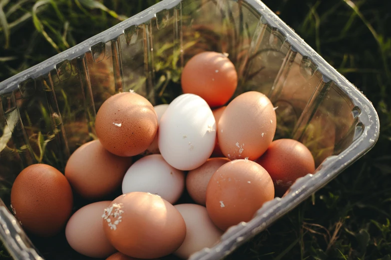 a plastic container filled with brown and white eggs, unsplash, instagram post, farmer, 🦩🪐🐞👩🏻🦳, gardening