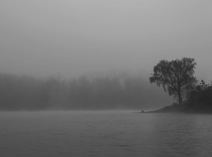 a black and white photo of a foggy lake, a black and white photo, by Robert Storm Petersen, pexels contest winner, loneliness, scenic view of river, brown mist, grey