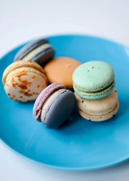 a blue plate topped with macarons on top of a white table, various colors, grain”, medium-shot, battered