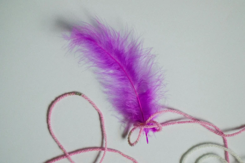 a purple feather laying on top of a white table, inspired by Méret Oppenheim, process art, rope, pink headband, stitching, cupid