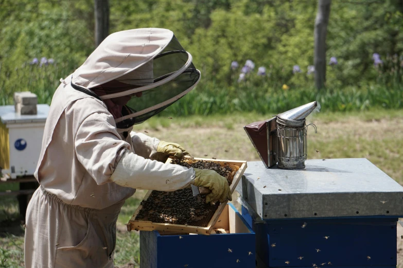 a man that is standing in front of a beehive, close to the camera, performing, grey, brown