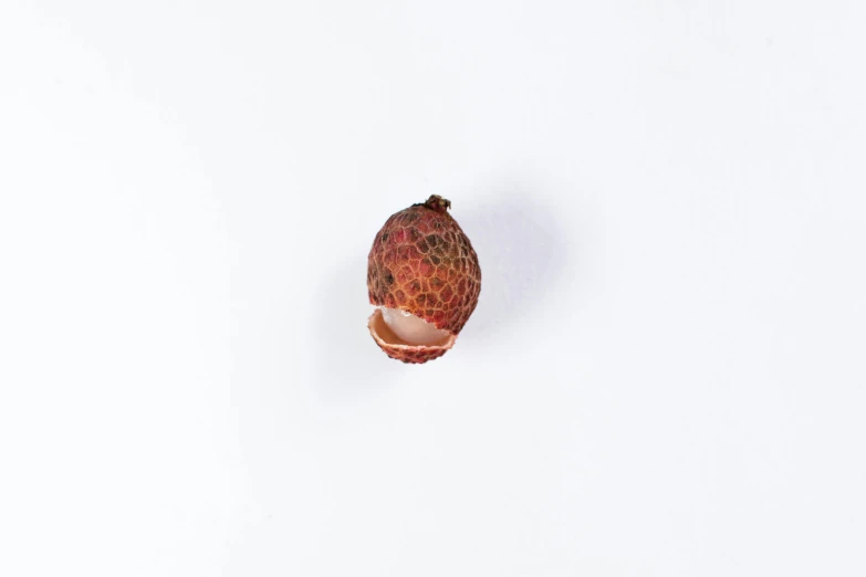 a close up of a fruit on a white surface, inspired by Katsushika Ōi, unsplash, hurufiyya, acorns, high - angle view, hanging, trinidad scorpion