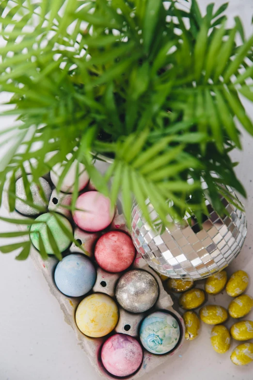 a potted plant sitting on top of a table next to eggs, inspired by Eden Box, maximalism, bokeh chrome accents, shot from above, candy decorations, curated collections