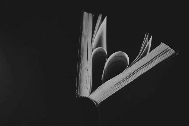 a black and white photo of an open book, a black and white photo, by Karl Buesgen, pexels contest winner, romanticism, black and white with hearts, ( low key light ), smooth intricate, (books)
