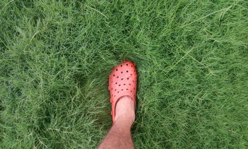 a person standing on top of a lush green field, an album cover, by Matt Cavotta, reddit, whole shoe is in picture, coral red, clogs, 🦩🪐🐞👩🏻🦳