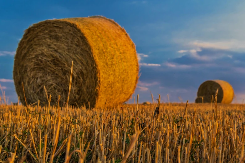 hay bales in a field at sunset, pexels contest winner, land art, brown, profile image, fan favorite, panoramic photography