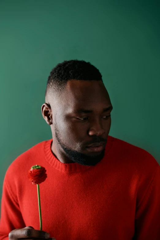 a man in a red sweater holding a flower, an album cover, inspired by Theo Constanté, trending on pexels, hurufiyya, headshot profile picture, chocolate, burly man, heartbroken