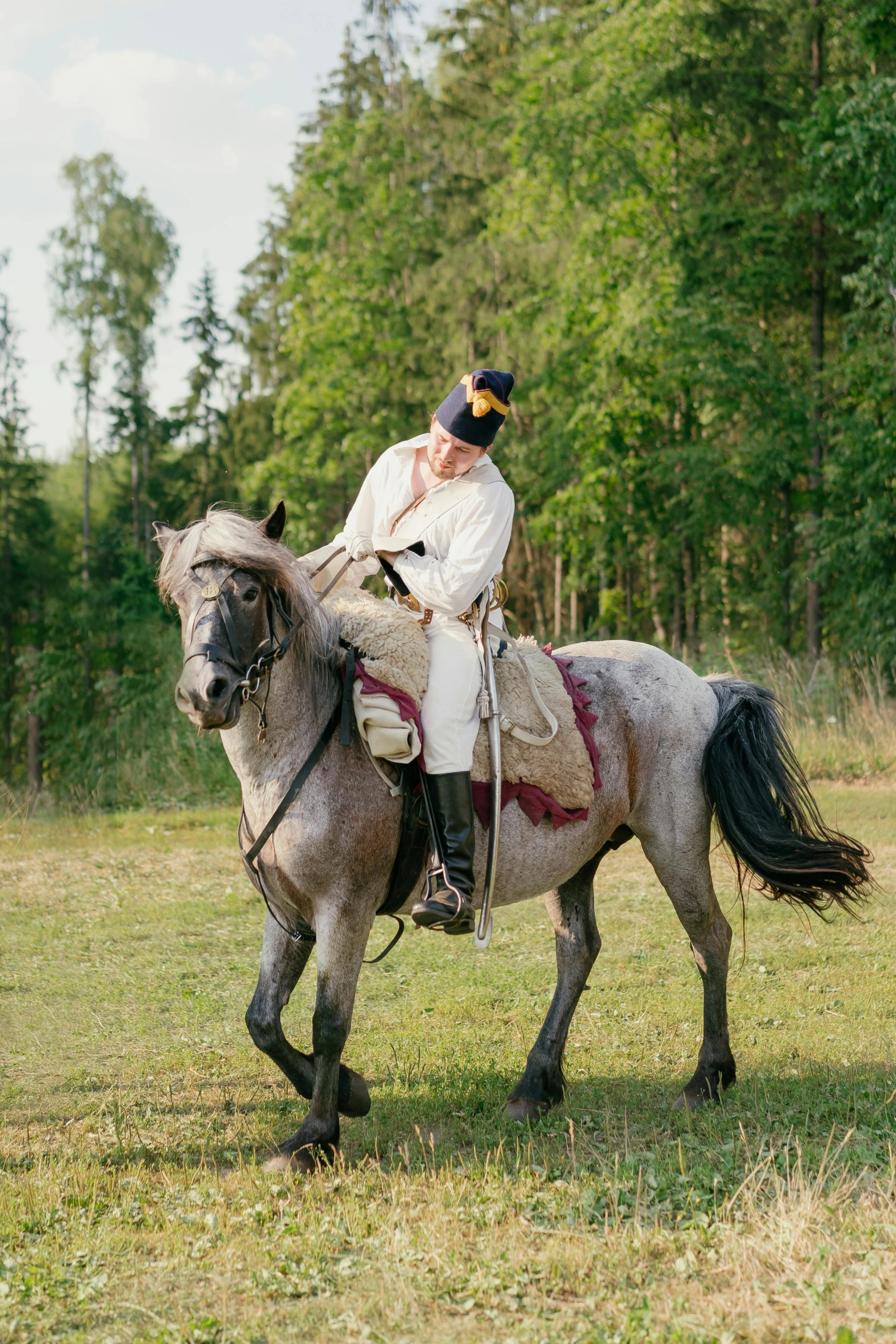 a man riding on the back of a horse in a field, by Grytė Pintukaitė, historical reenactment, gray, lush surroundings, sultan