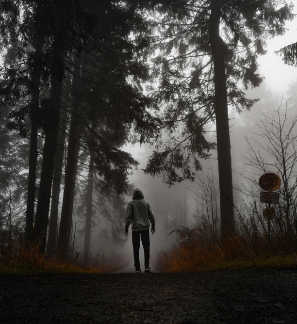 a person standing in the middle of a forest, under a gray foggy sky, walking down, dark photograph, 8k))