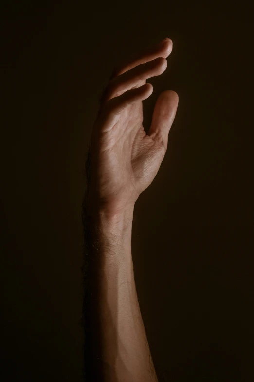 a person holding their hand up in the air, by Daniel Seghers, pexels, hyperrealism, soft light from the side, ary scheffer, ignant, dark and beige atmosphere