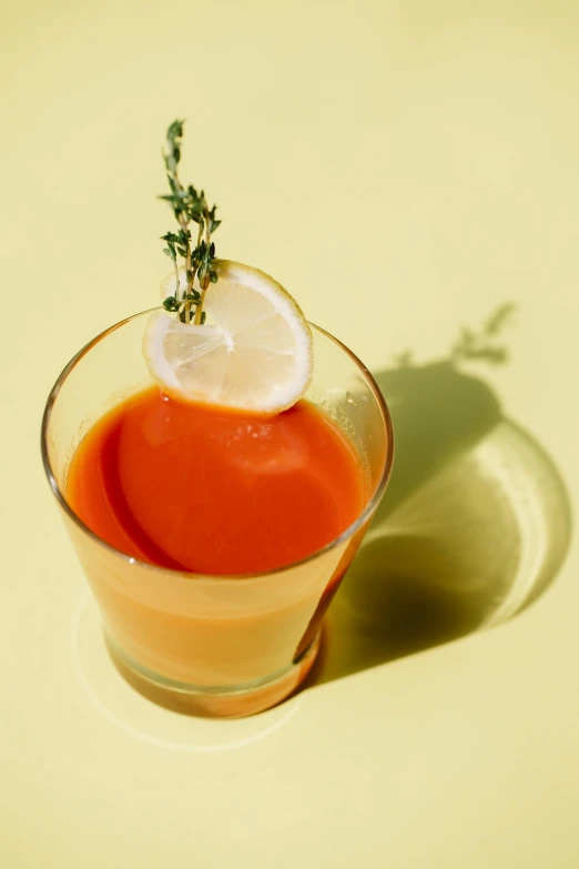 a glass of tomato soup with a slice of lemon on top, unsplash, renaissance, hop cone juice, in shades of peach, zoomed out shot, ivy