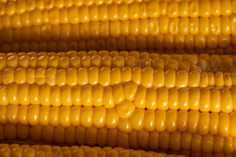 a close up of corn on the cob, by Carey Morris, pexels, glossy yellow, 15081959 21121991 01012000 4k, thumbnail, 2 0 megapixels