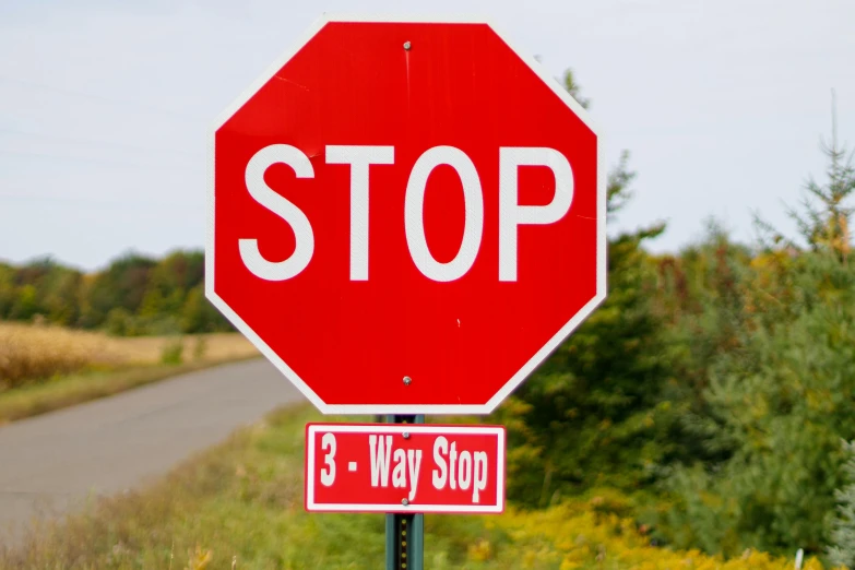 a red stop sign sitting on the side of a road, a picture, slide show, 3 - piece, grey, digital image