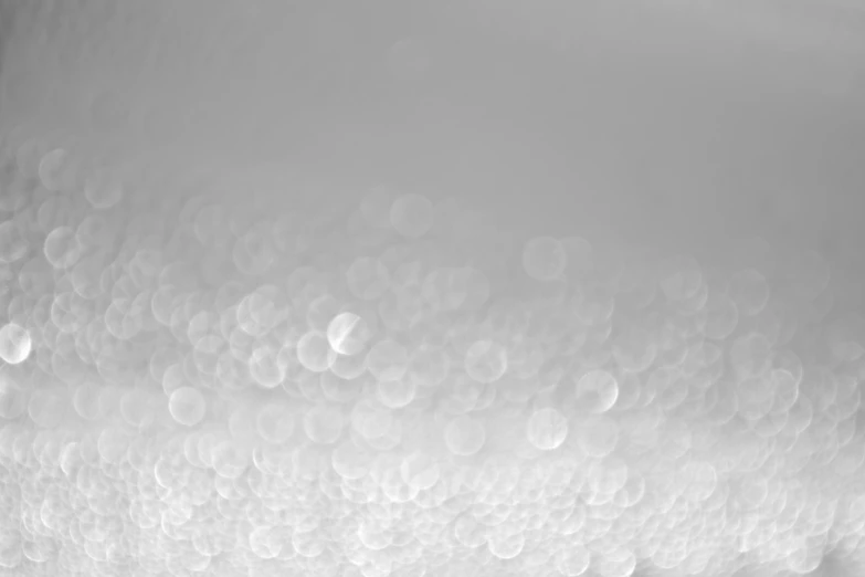 a black and white photo of soap bubbles, a microscopic photo, pixabay, minimalism, gradient white to silver, background image, white ceiling, fish scales