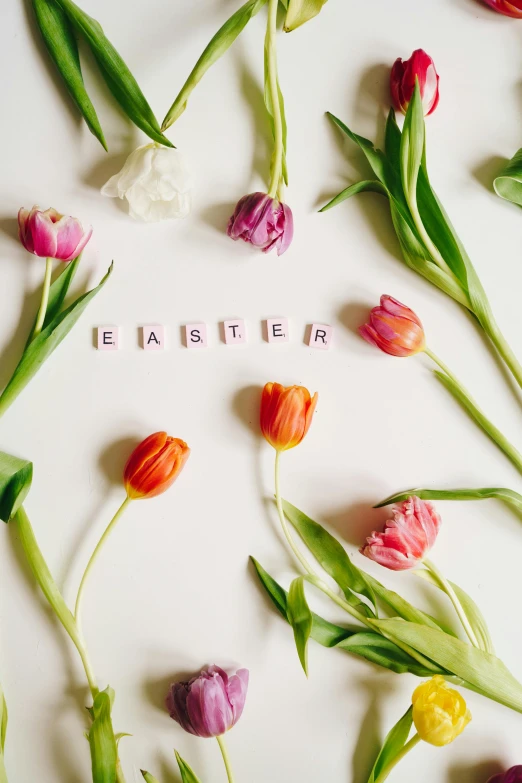 flowers arranged in the shape of a star with the words be la la la la la la la la la la la la la la la la, by Carey Morris, trending on unsplash, happening, holding easter eggs, tulip, programming, 🚿🗝📝