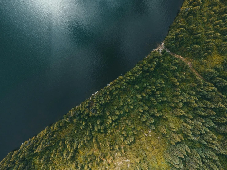 an aerial view of a large body of water, by Jesper Knudsen, pexels contest winner, evergreen forest, cliff edge, volumetric light from above, highly detailed image