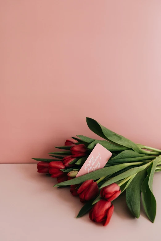 a bouquet of red tulips on a pink background, pexels contest winner, hidden message, card, low key, chocolate