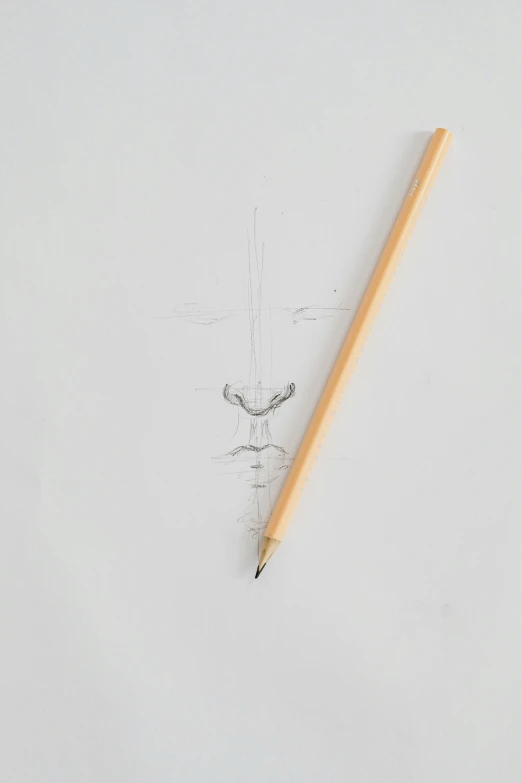 a pencil sitting on top of a piece of paper, by Gavin Hamilton, symmetrical nose, orthographic front view, headshot profile picture, a high angle shot
