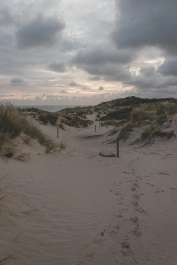 a cloudy day at the beach with footprints in the sand, a picture, by Jacob Toorenvliet, happening, late summer evening, bunkers, with soft bushes, iso 1 0 0 wide view