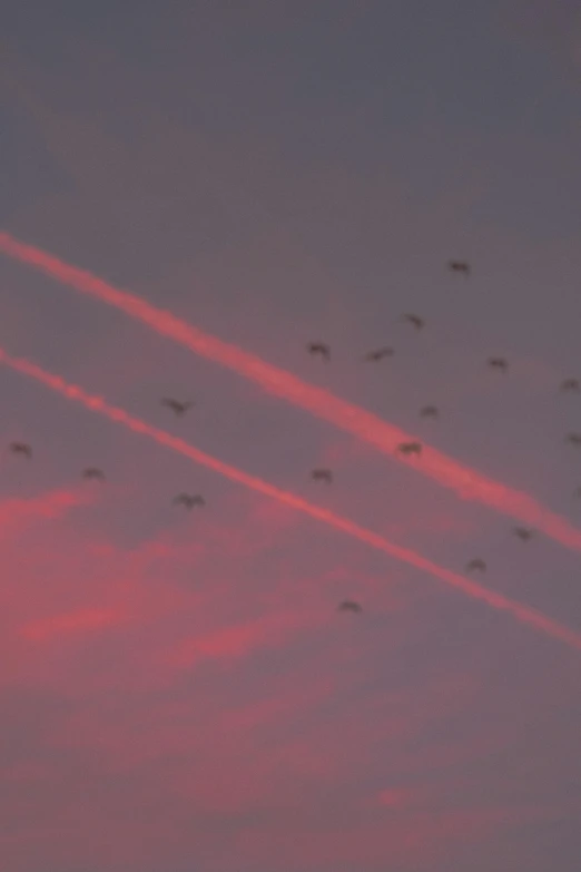 a flock of birds flying in the sky, a photo, by Anna Füssli, precisionism, redpink sunset, 2077, concert, flying aircrafts