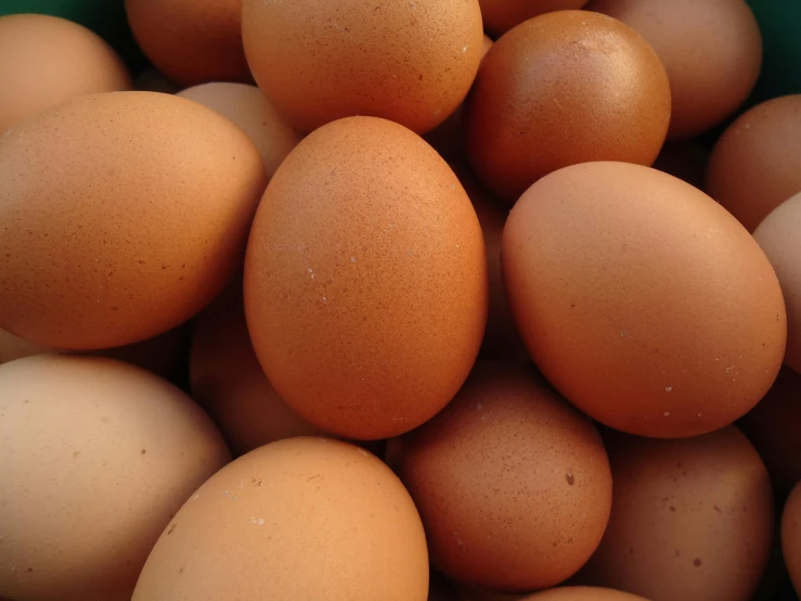 a pile of eggs sitting on top of each other, an album cover, by Lee Loughridge, pixabay, slightly tanned, australian, close ups, 15081959 21121991 01012000 4k