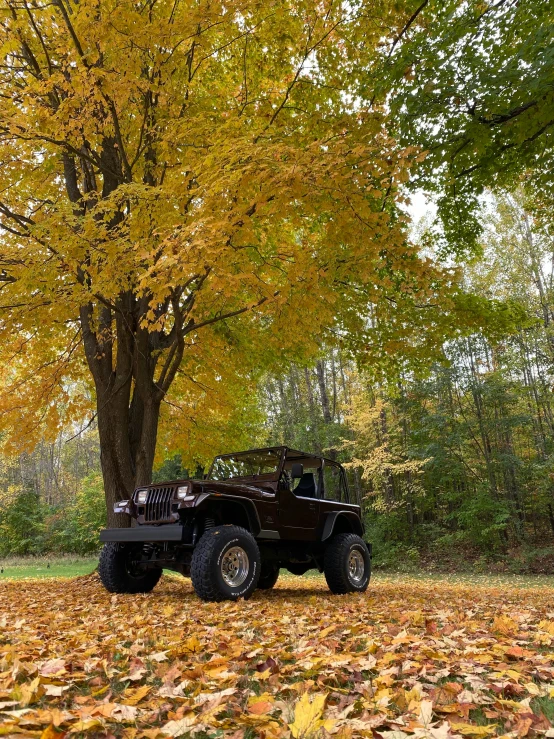 a jeep is parked under a large tree, a portrait, by Jim Nelson, pexels contest winner, during autumn, fullbody view, square, high quality photo