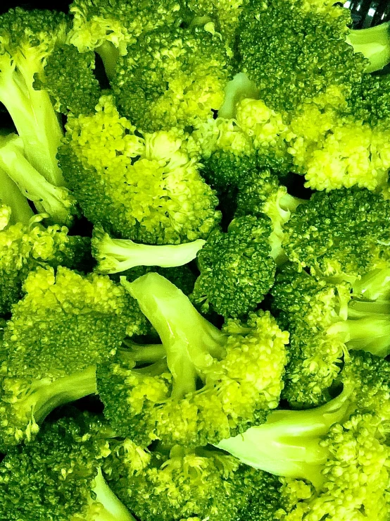 a close up of a bunch of broccoli, by Carey Morris, 15081959 21121991 01012000 4k