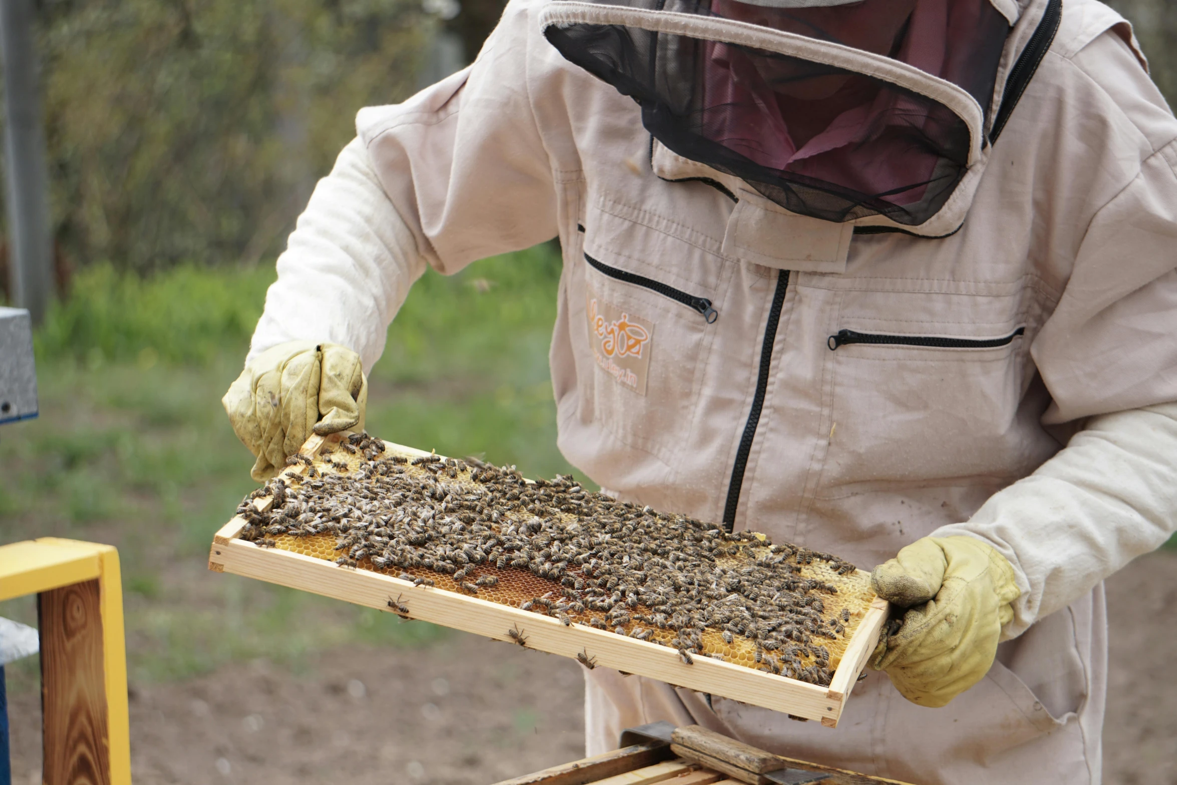 a man in a bee suit holding a beehive, by Bradley Walker Tomlin, pexels, on a wooden tray, “ iron bark, ocher, grey