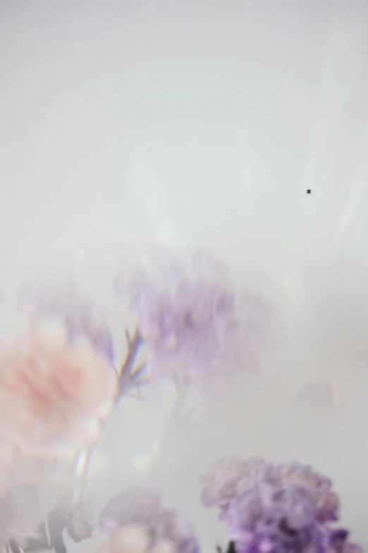 a bunch of flowers that are in a vase, a macro photograph, by Eizan Kikukawa, romanticism, petra cortright, delicate fog, made of mist, soft light - n 9