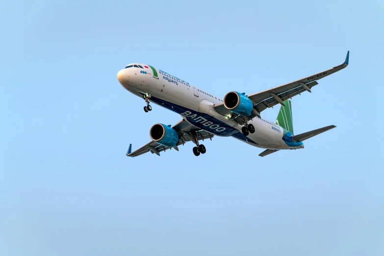 a large jetliner flying through a blue sky, happening, blue and green colours, lightweight, avatar image, maintenance photo
