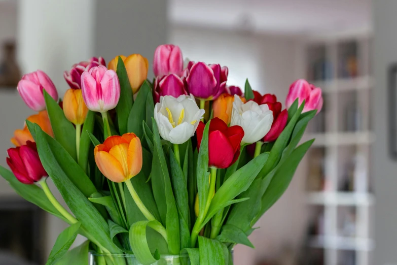 a vase filled with lots of different colored tulips, pexels contest winner, romanticism, indoor scene, multi - coloured, instagram post, super high resolution