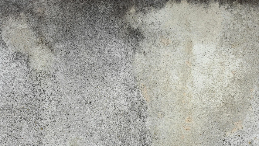 a red fire hydrant sitting on top of a cement wall, a minimalist painting, by Jan Kupecký, concrete art, background image, rotten moldy black mold, grey, gradient brown to silver