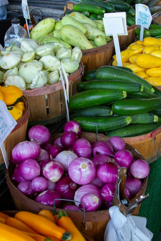 a variety of vegetables for sale at a farmer's market, by Meredith Dillman, slide show, square, multiple colors, onion