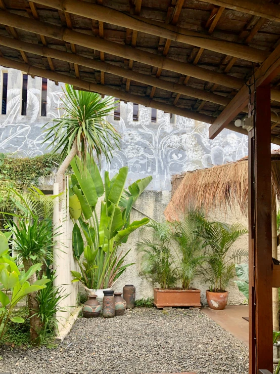 a patio with potted plants and a thatched roof, visual art, bali, 😭 🤮 💕 🎀, inside the building, entrance