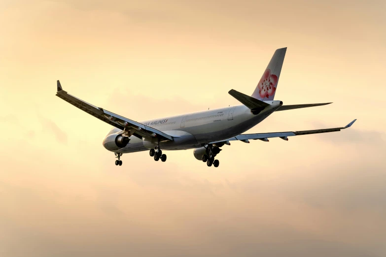 a large jetliner flying through a cloudy sky, a picture, by John Covert, pexels contest winner, shin hanga, avatar image, spring evening, “pig, chinese
