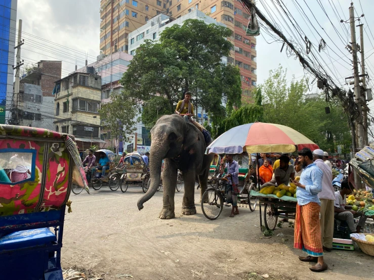 a man riding on the back of an elephant, pexels contest winner, hurufiyya, standing in township street, bangladesh, massive wide trunk, 🦩🪐🐞👩🏻🦳
