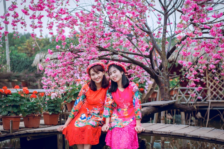 a couple of women standing next to each other on a bridge, pexels contest winner, cloisonnism, cherry blosom trees, pink and red color scheme, vietnamese woman, background image