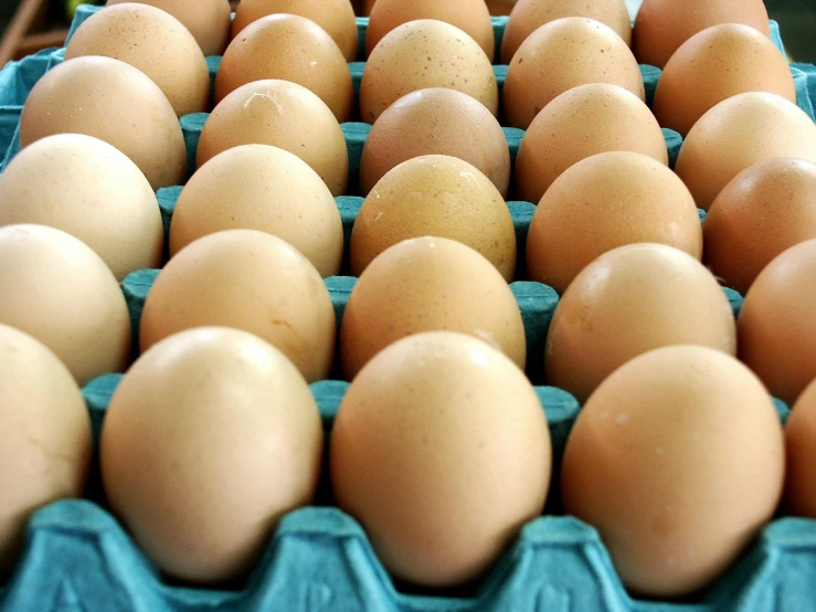 a tray of eggs sitting on top of a table, flickr, middle close up, beige, a brightly coloured, bald