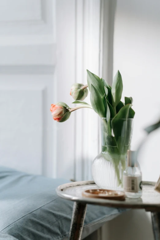 a vase filled with flowers sitting on top of a table, pexels contest winner, serene bedroom setting, tulip, soft grey and blue natural light, beauty shot