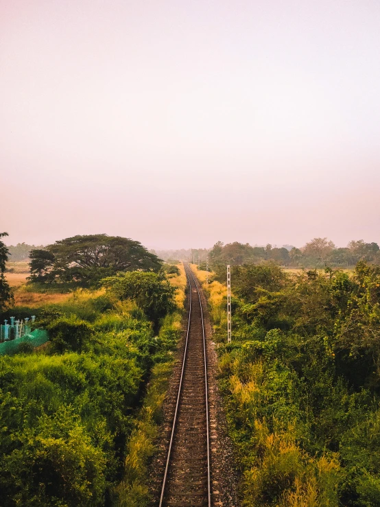 a train traveling through a lush green countryside, inspired by Steve McCurry, pexels contest winner, hyperrealism, guwahati, panorama view, morning golden hour, shot on iphone