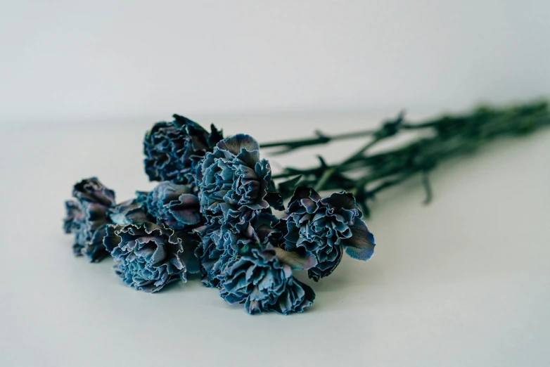 a bunch of blue flowers sitting on top of a table, unsplash, in gunmetal grey, well preserved, 3/4 side view, carnation