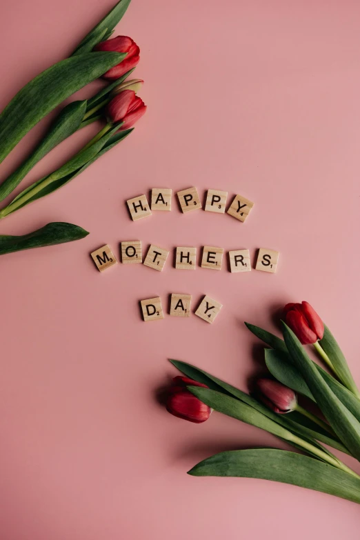 a couple of red tulips sitting on top of a pink surface, an album cover, by Carey Morris, pexels, other mother, a still of a happy, words, m