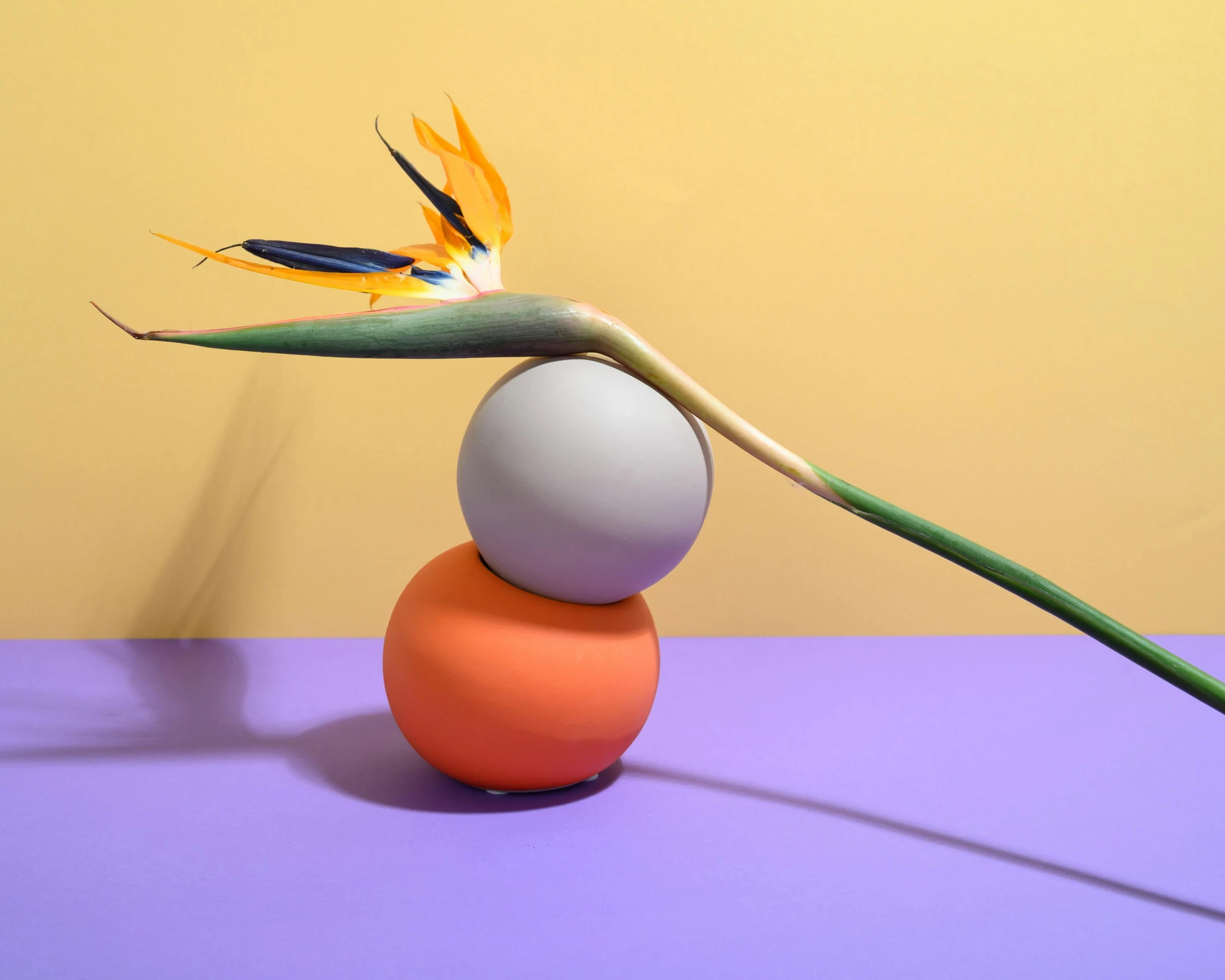 a bird of paradise flower sitting on top of a ball, an abstract sculpture, inspired by Koson Ohara, trending on pexels, magic realism, arper's bazaar, pastel', eero aarnio, orange and purple electricity