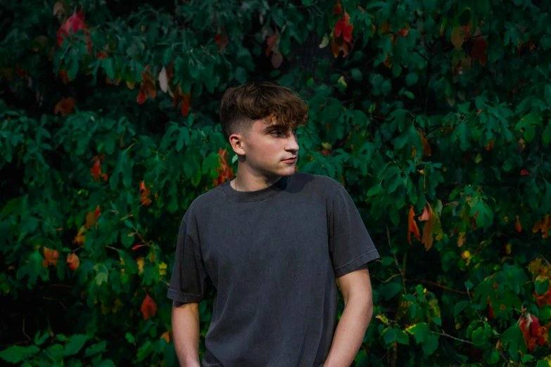 a young man standing in front of a tree, an album cover, pexels contest winner, non binary model, hedge, profile image, wearing a t-shirt