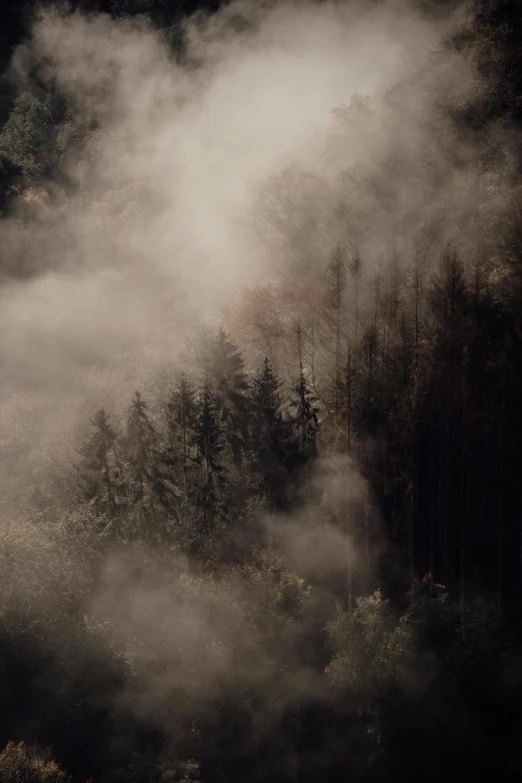 a horse standing on top of a lush green hillside, inspired by Elsa Bleda, unsplash contest winner, tonalism, detailed smoke, woods on fire, ominous! landscape of north bend, david kassan