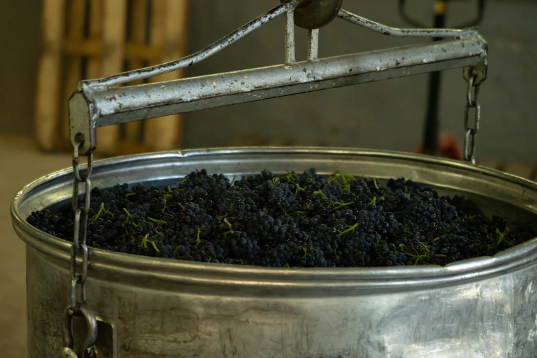 a large metal pot filled with lots of grapes, black tendrils, precision, press, carefully crafted